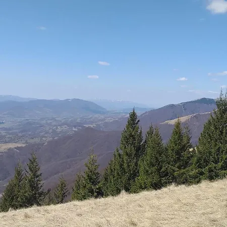 Casa de Férias під чертежиком Kolochava