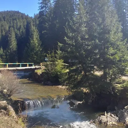 під чертежиком