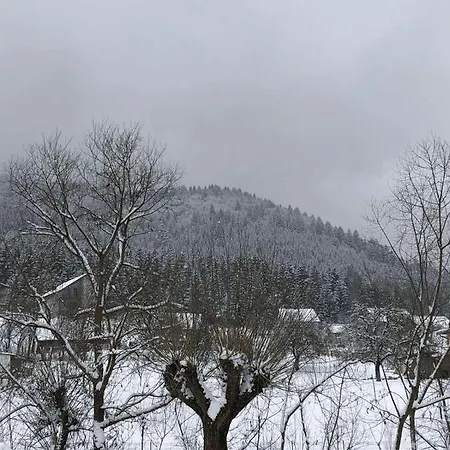 під чертежиком Kolochava