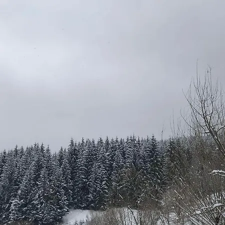 під чертежиком