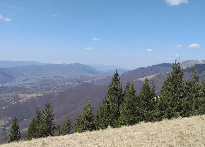 Holiday home під чертежиком Kolochava