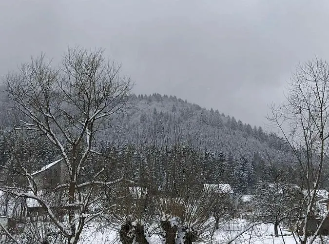 під чертежиком Kolochava