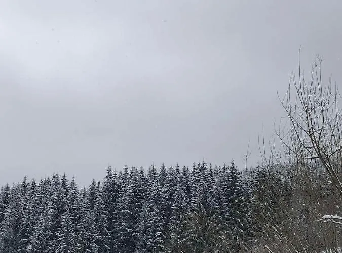 під чертежиком